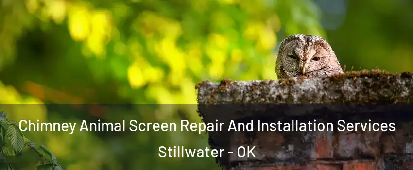  Chimney Animal Screen Repair And Installation Services Stillwater - OK
