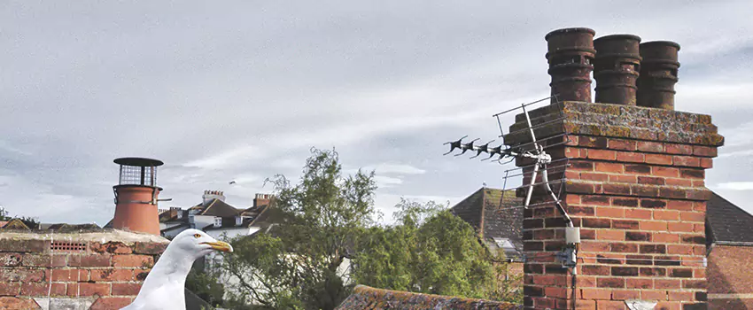 Chimney Cleaning And Restoration in Stillwater, Oklahoma
