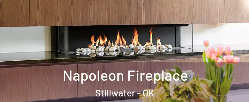  Napoleon Fireplace Stillwater - OK